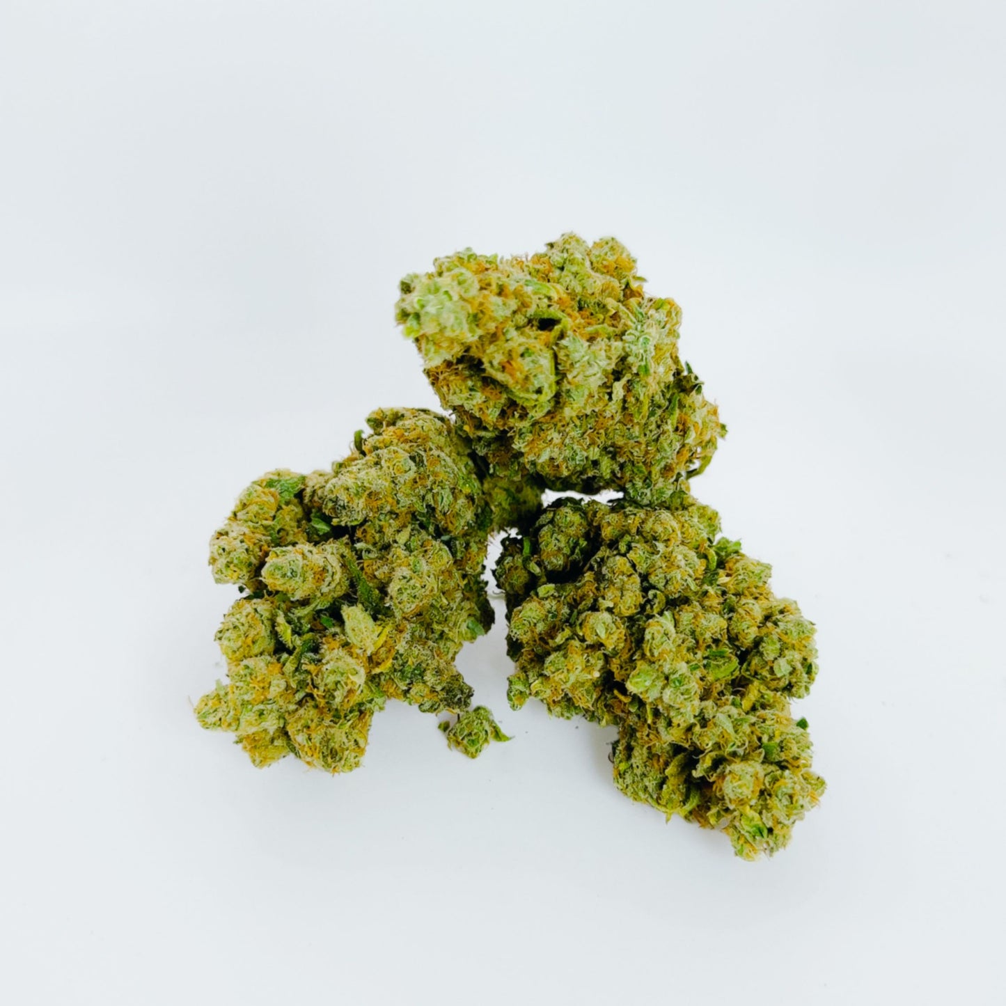 Amnesia Le Cercle Vert