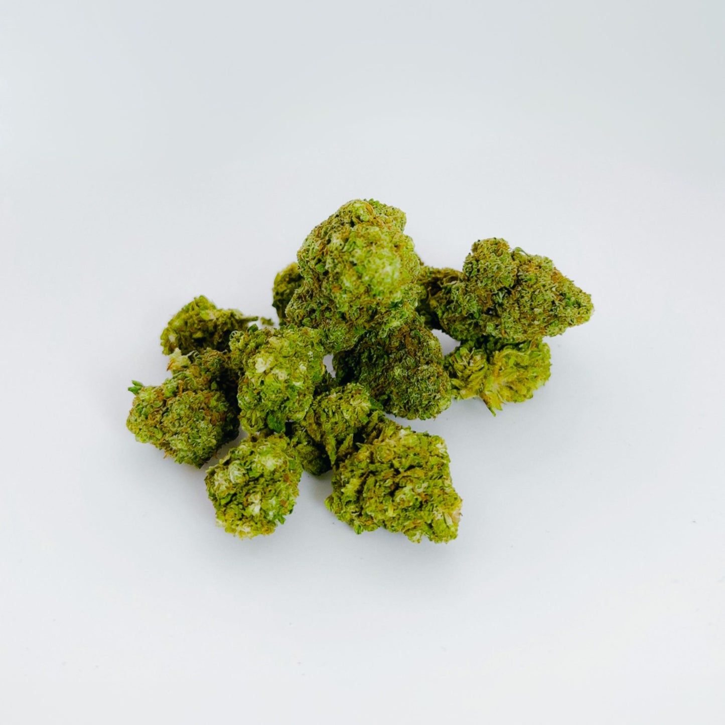 Critical Cheese le cercle vert