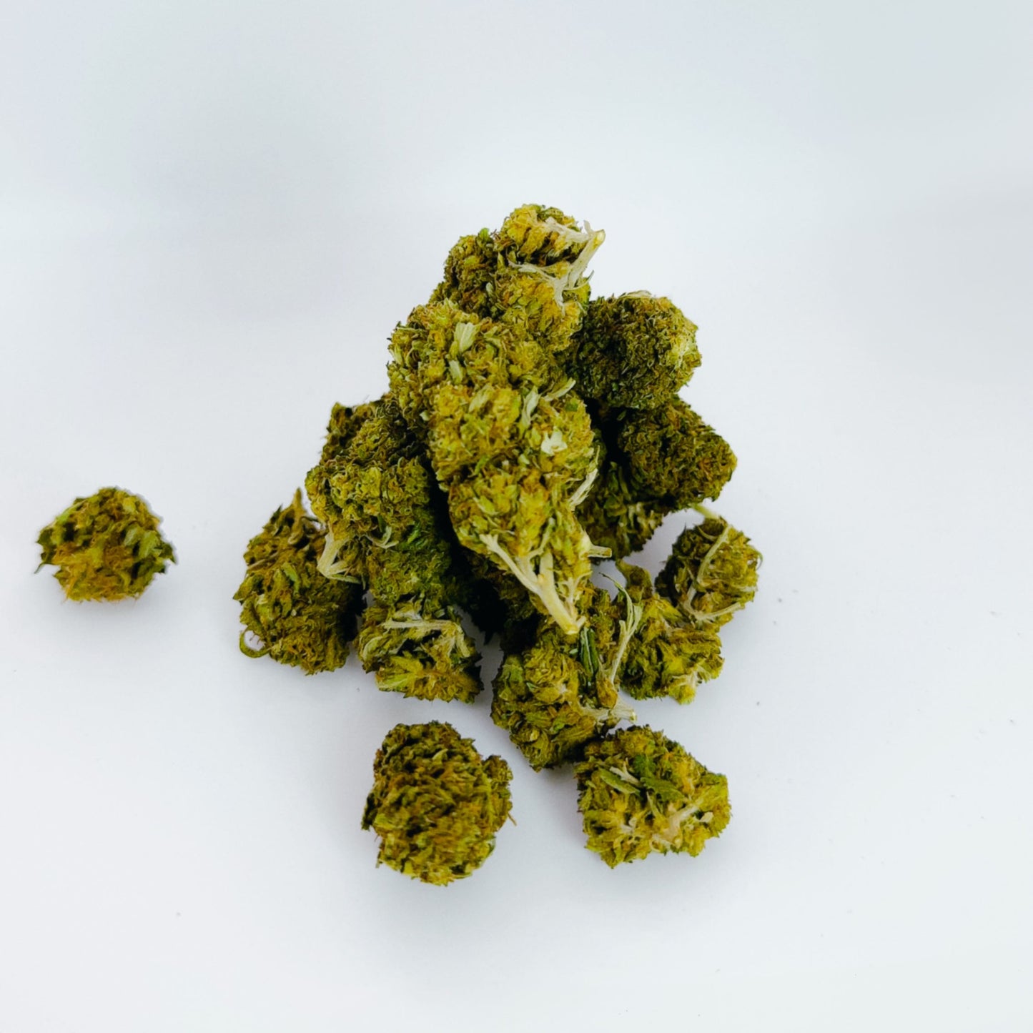 Mango le cercle vert